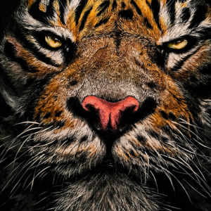 Cuadro tigre 2