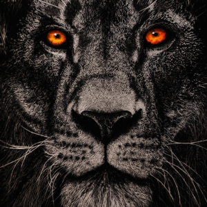 Cuadro león