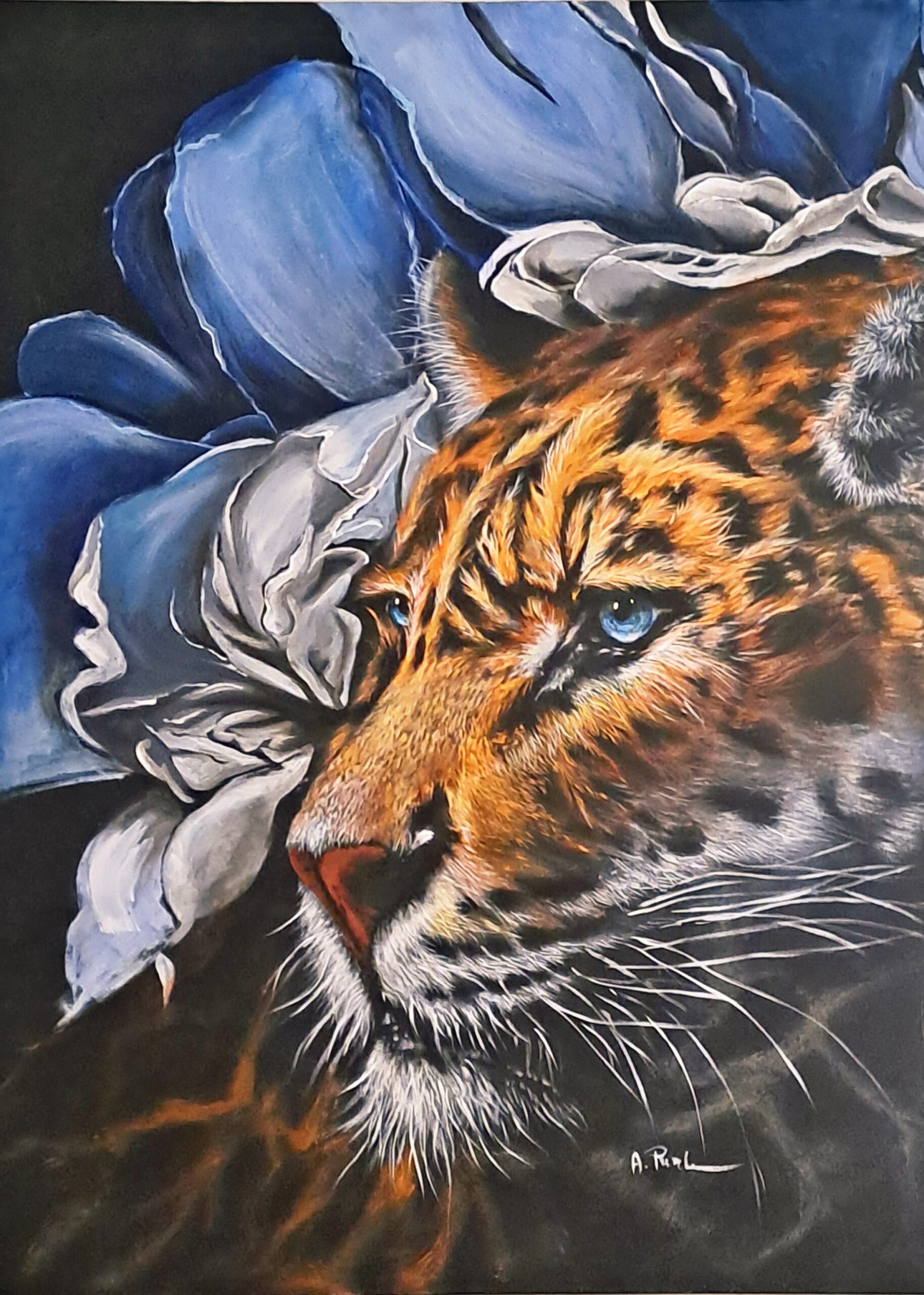 Alma felina